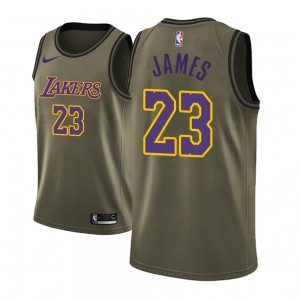  Lebron James Los Angeles Lakers NBA Boys Youth 8-20 Yellow Gold  Icon Edition Swingman Jersey (as1, Alpha, l, Regular) : Sports & Outdoors